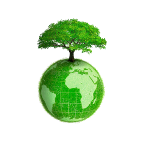 ООО Экология