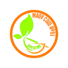 МАОУ СОШ № 91 г. Перми