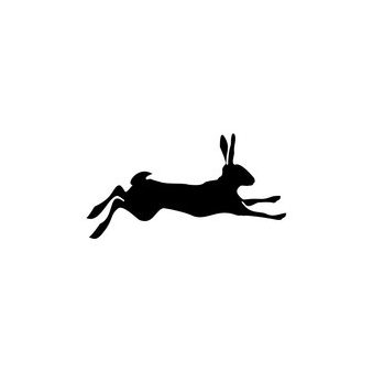 Щабельская Анна Юрьевна