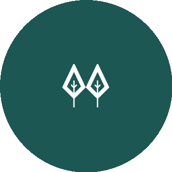 Бар Свобода-2