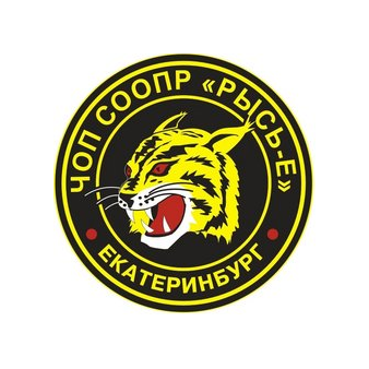 ЧОП СООПР Рысь-Е
