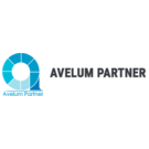 ���� ������ ������� (Avelum parnter)