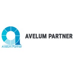���� ������ ������� (Avelum parnter)