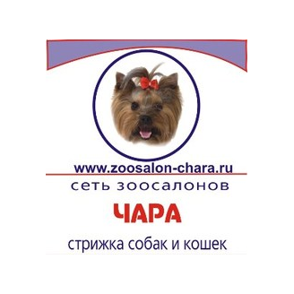 Чара, сеть зоосалонов