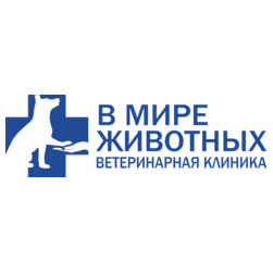 Мордвинова Светлана Александровна