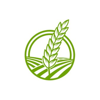Агора Регион