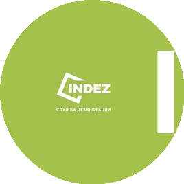 Indez
