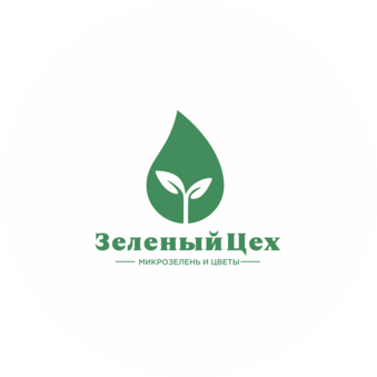 Мажейка Антанас Саулюсович