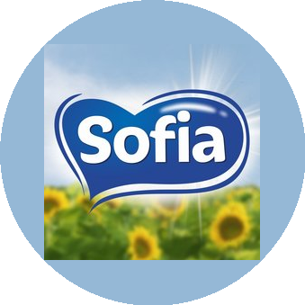 BOS'TON FOOD COMPANY