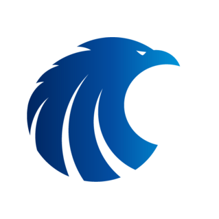 Профессиональная Коллекторская организация Многофункциональное Консалтинговое Объединение