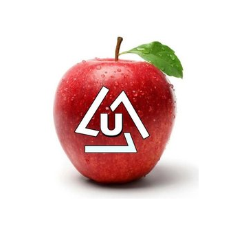 Umidjon Market (111)