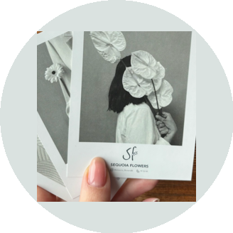 Арт-студия Секвойя