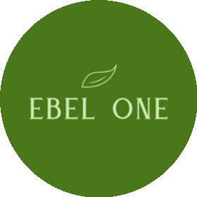 EBEL ONE