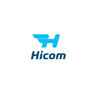 VIDEOCOM GROUP