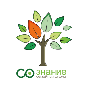 Семейная школа Со-знание ЖК Дубровка (ООО Со-Знание Дубровка)