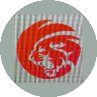 Багира-Групп