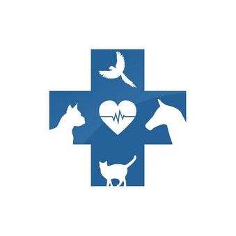 Дельта 21 век