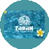 Сеть студий загара Гаваи