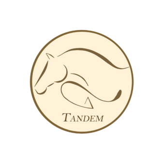 Конный клуб Тандем