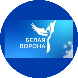 Центр эстетического развития Белая Ворона