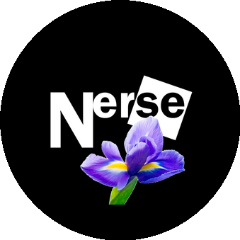 Nerse