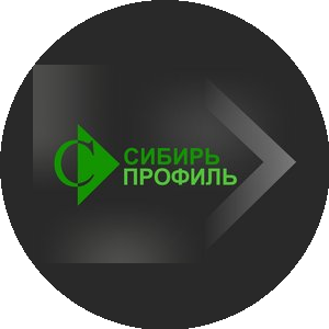 Сибирь Профиль, ГК