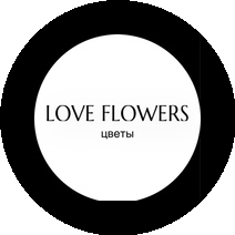 Дубровина Анастасия