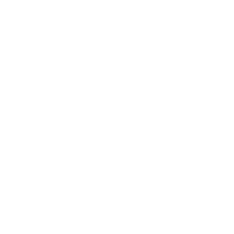 Флик