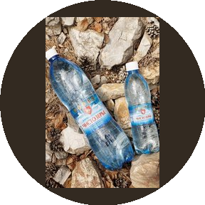 ТД Чистозерье