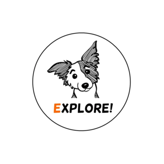 Школа английского языка Explore