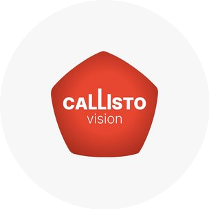 Каллисто Вижн