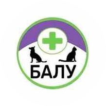 АНТОНЕНКО ДМИТРИЙ ВЛАДИМИРОВИЧ