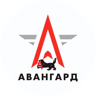 ГБУ ДО ИО Региональный Центр Авангард