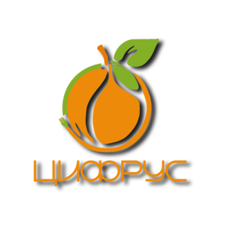 ЦифРус