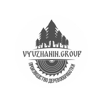 Вьюжанин Никита Николаевич