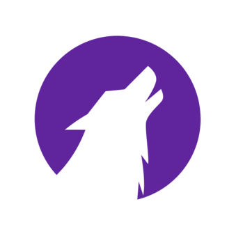 Волфлайн Кэпитал