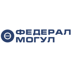 Федерал-Могул Набережные Челны