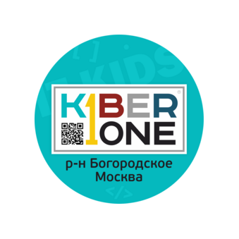 Kiberone (ИП Серик Любовь Сергеевна)