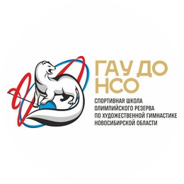 ГАУ ДО НСО СШОР по художественной гимнастике