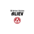 Aliev HR Services & solutions