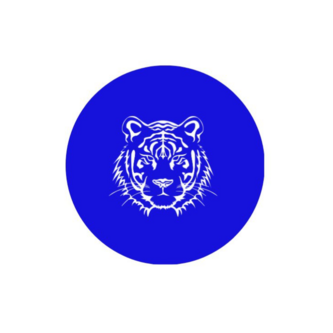 Техно финанс