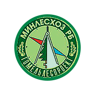 Гомельлеспроект, РДЛУП