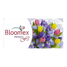 Bloomex Company Group