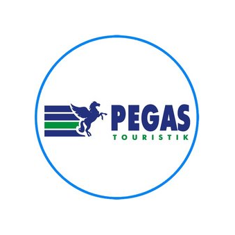 Трифонова Светлана Валерьевна