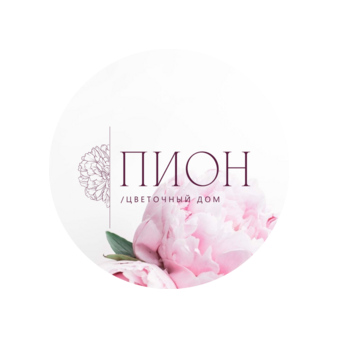 ПИОН