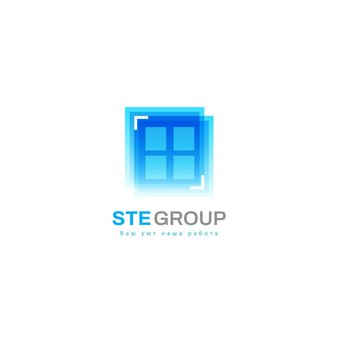 STE Group