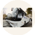 ZlatBus