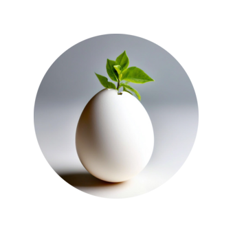 ������� ���� ���������