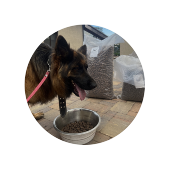 Назаров Владислав Васильевич