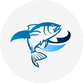 Дальневосточное Развитие Плюс